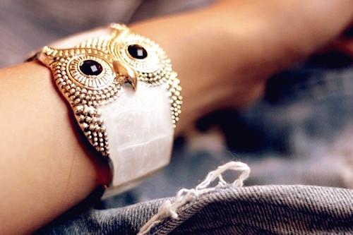 Beautiful Owl Braceletes (8)