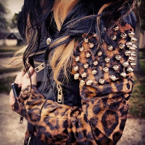 Studded Accessories  (3)
