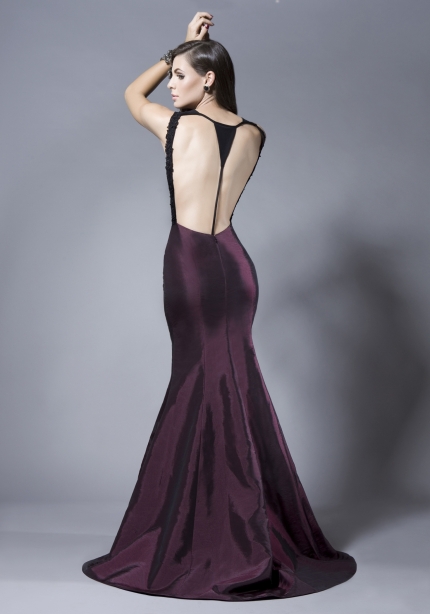 Elegant Dresses (3)