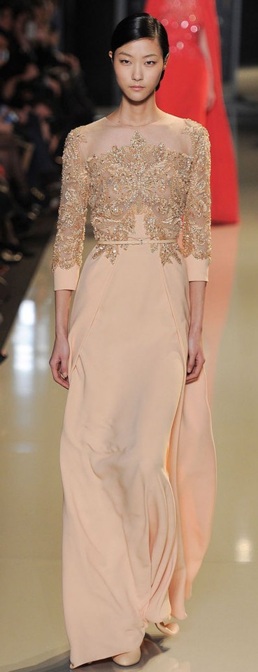 Elie Saab Couture Spring Summer 2013 (17)