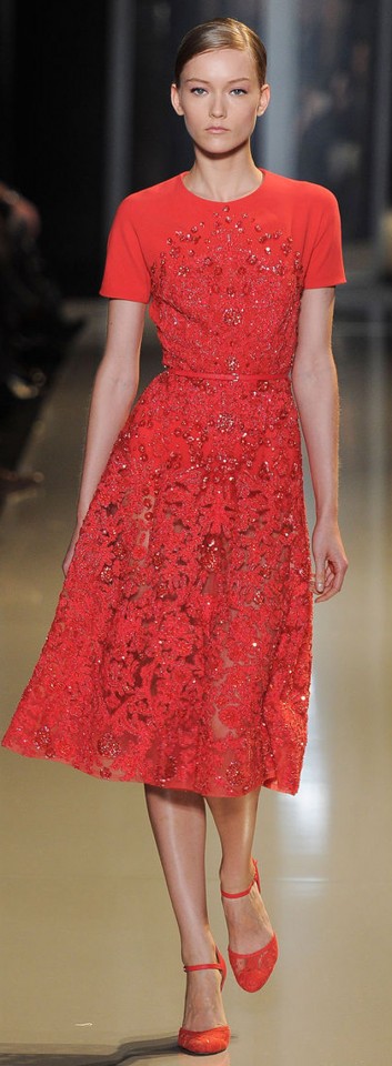 Elie Saab Couture Spring Summer 2013 (23)