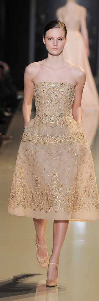 Elie Saab Couture Spring Summer 2013 (33)