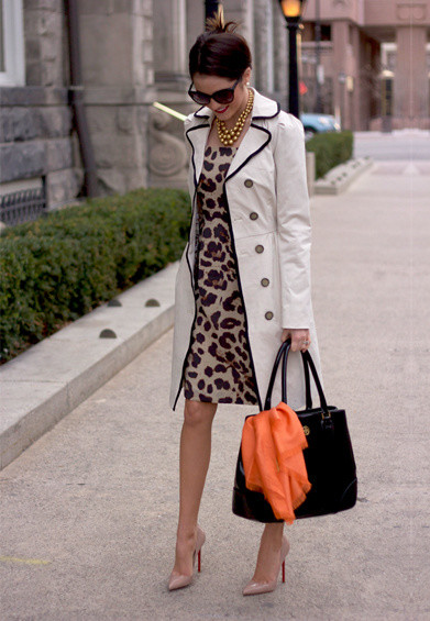 animal print (10)