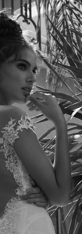 Galia Lahav 2014 (22)