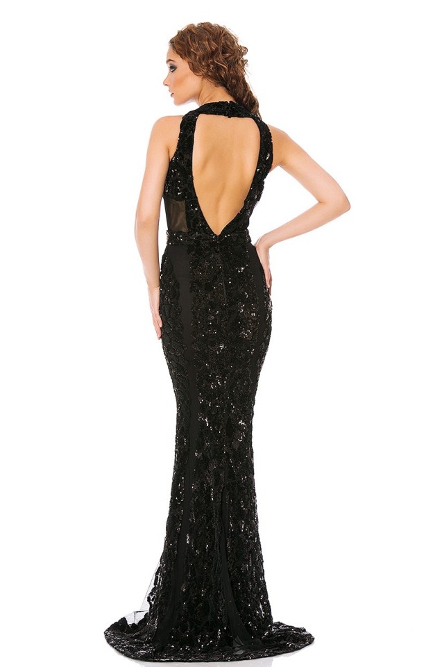 HOT EVENING GOWNS - ROCHII DE SEARA 2015