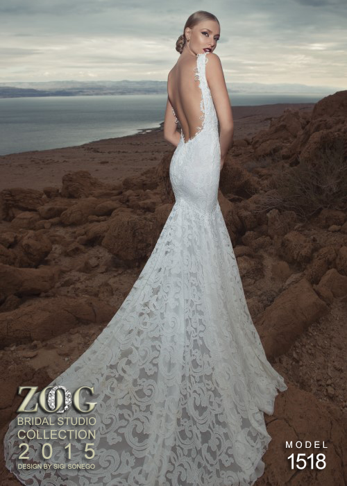 Fascinating Wedding Dresses (10)