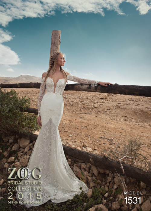 Fascinating Wedding Dresses (15)