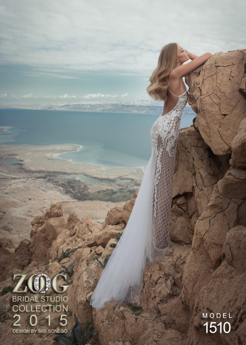 Fascinating Wedding Dresses (24)