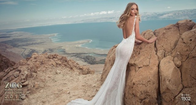 Fascinating Wedding Dresses (3)