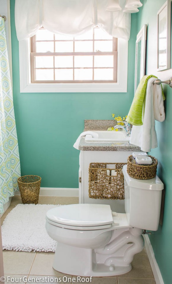 master-bathroom-makeover-before-After-2