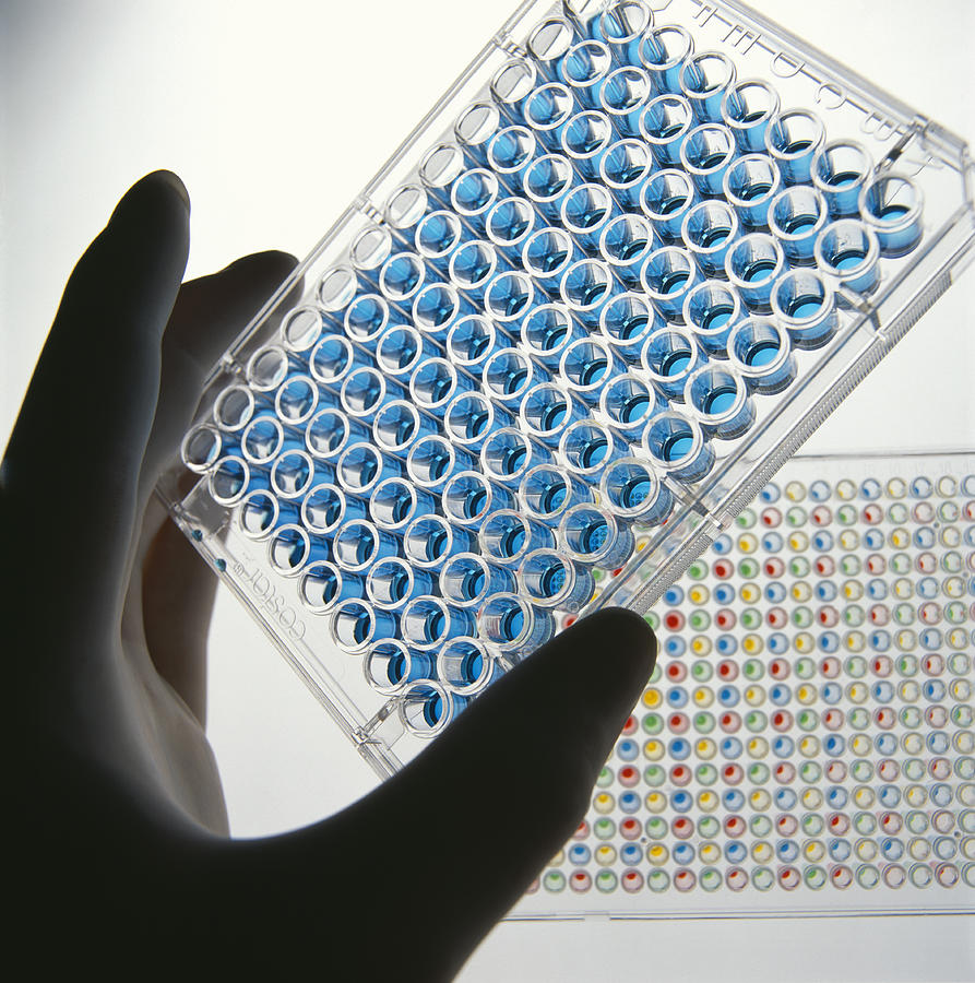 A quick guide to Elisa test